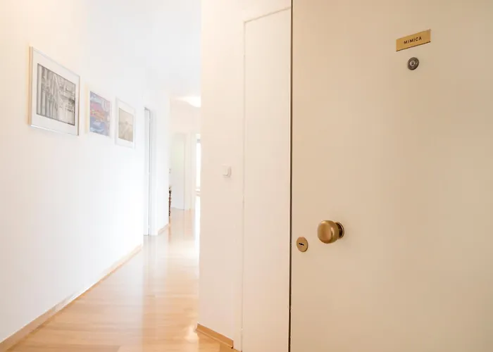Palm Tree Superior - Specially Designed Three-room - Location Right Next To The And The Center - Beautiful Terrace Apartmán Split